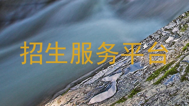 招生服务平台
