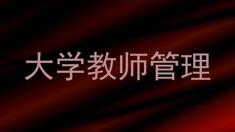 大学教师管理