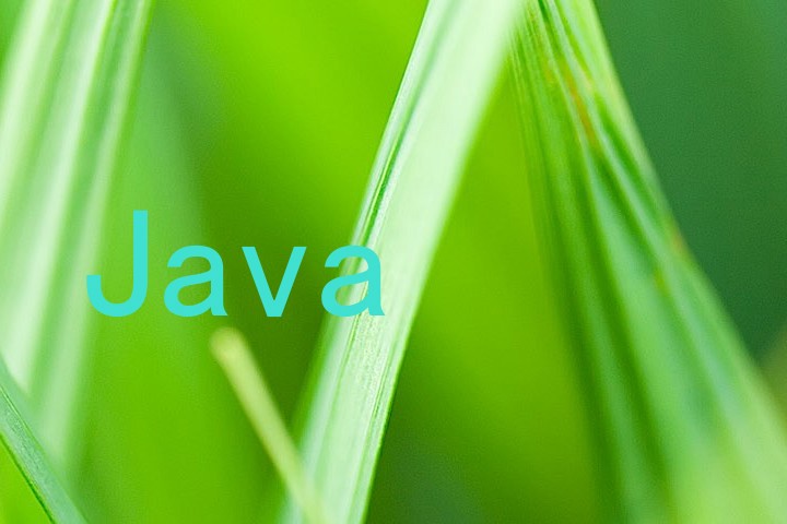 Java