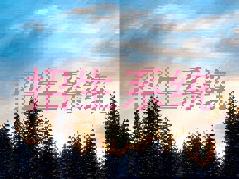招生系统