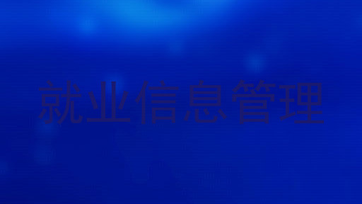 就业信息管理