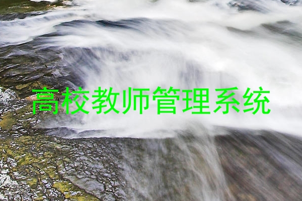 高校教师管理系统