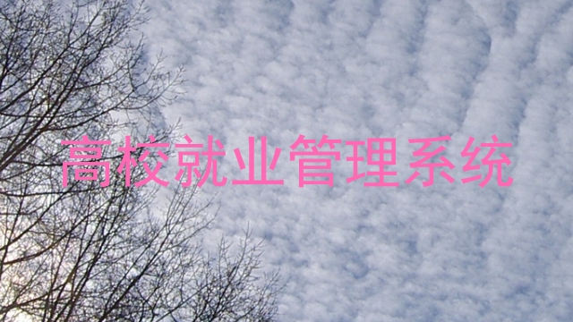 高校就业管理系统