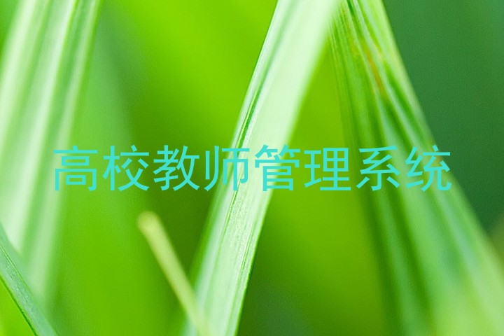高校教师管理系统