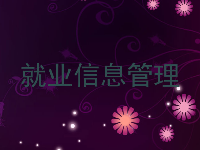就业信息管理