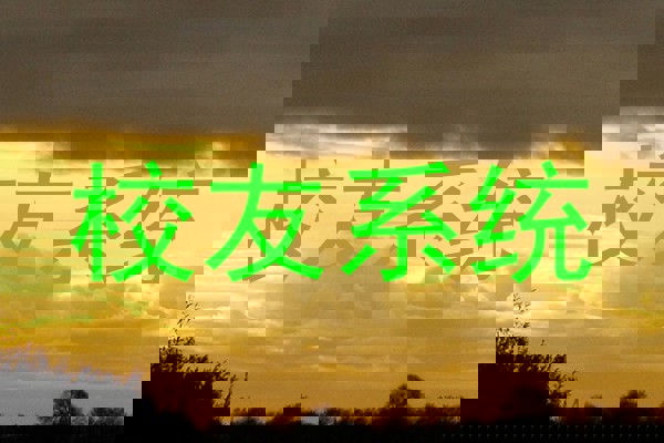 校友系统