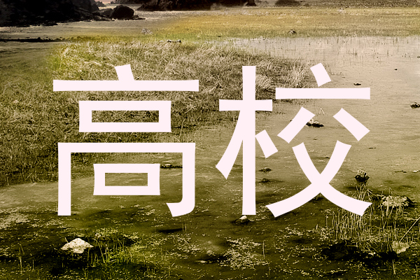 高校