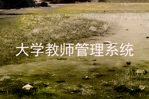 大学教师管理系统