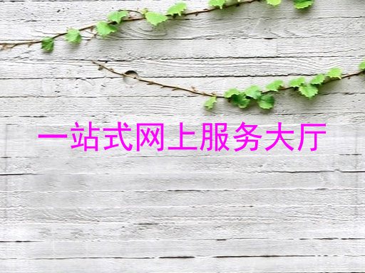 一站式网上服务大厅