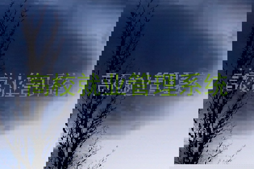 高校就业管理系统