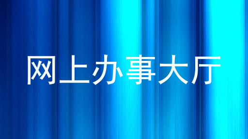 网上办事大厅