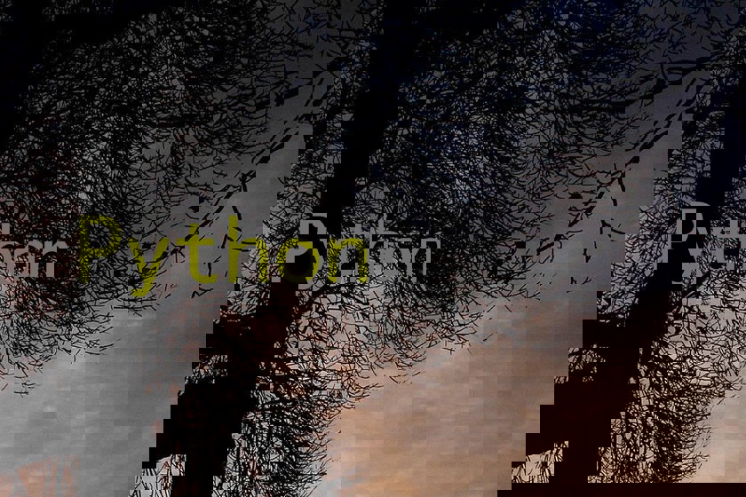 Python