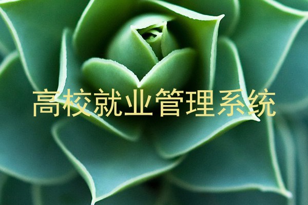 高校就业管理系统
