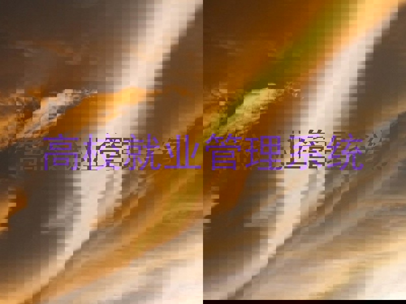 高校就业管理系统