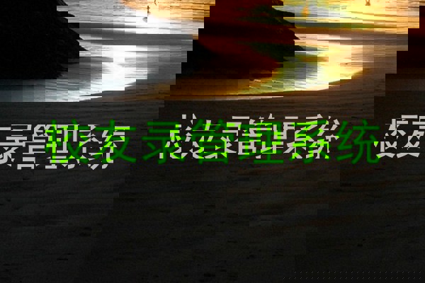 校友录管理系统