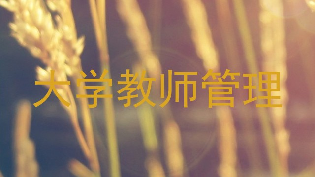 大学教师管理