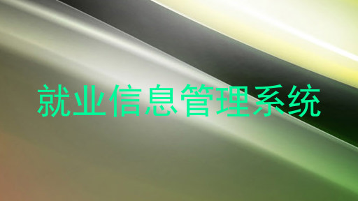 就业信息管理系统