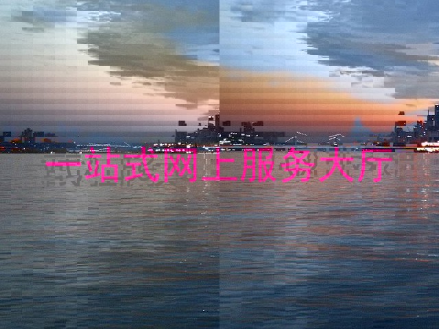 一站式网上服务大厅