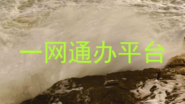 一网通办平台