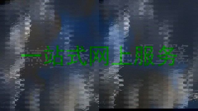 一站式网上服务