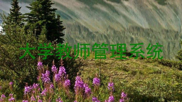 大学教师管理系统