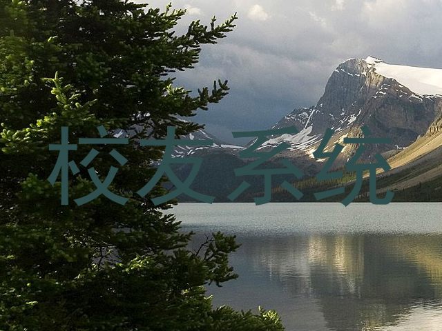 校友系统