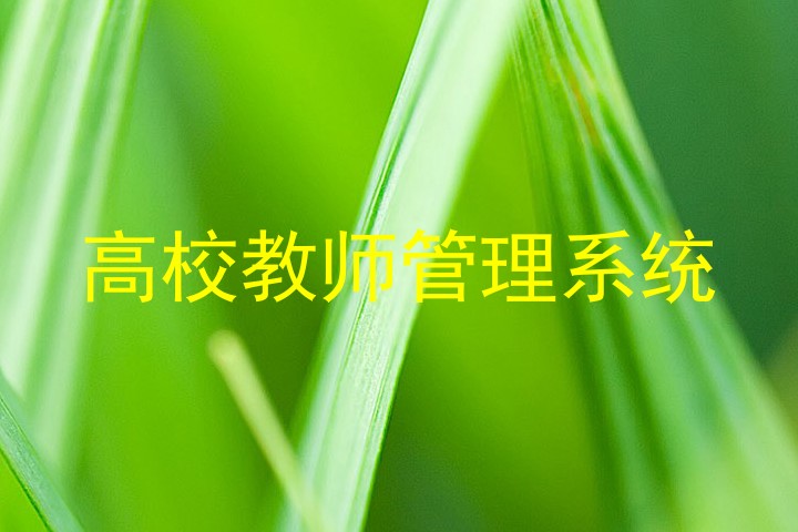 高校教师管理系统