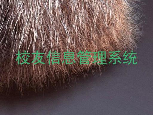 校友信息管理系统