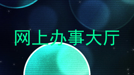 网上办事大厅