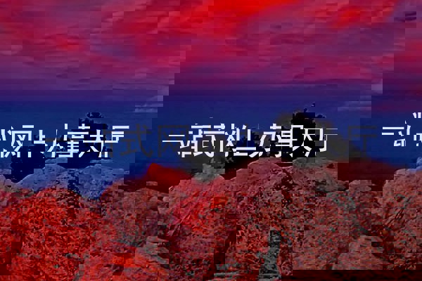 一站式网上办事大厅