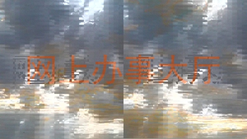 网上办事大厅