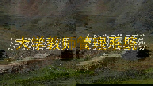 大学教师管理系统