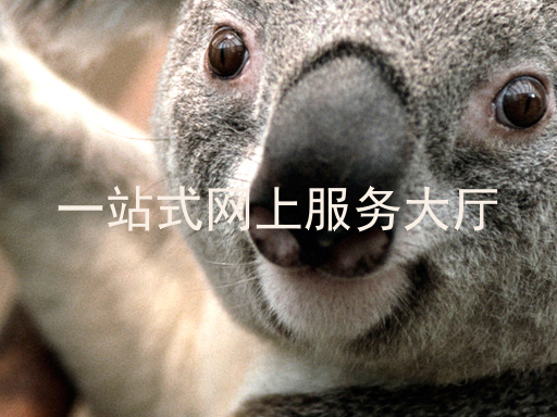 一站式网上服务大厅