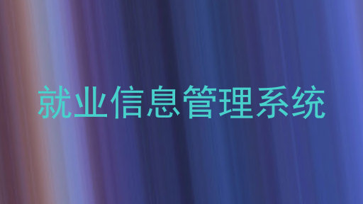 就业信息管理系统