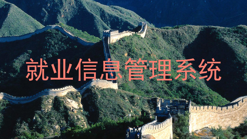 就业信息管理系统