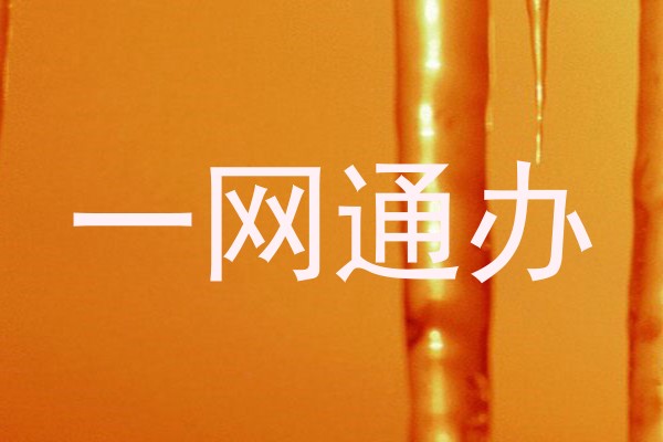 一网通办