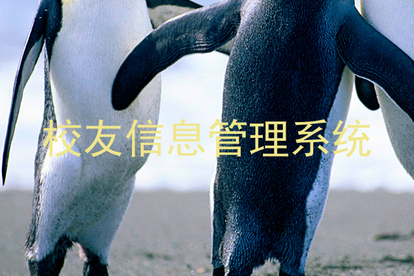 校友信息管理系统