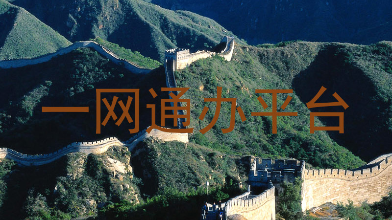 一网通办平台