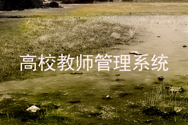 高校教师管理系统