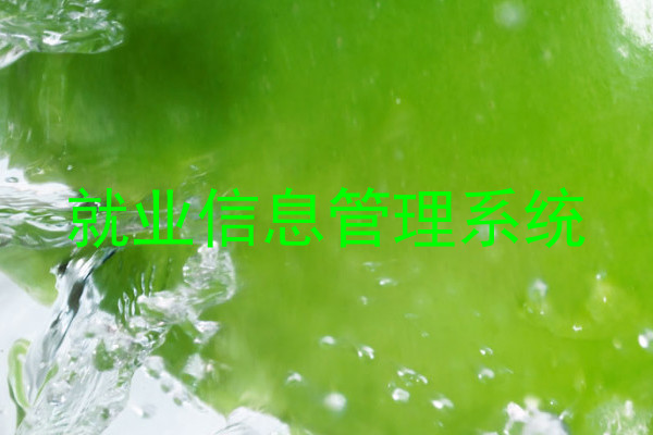 就业信息管理系统