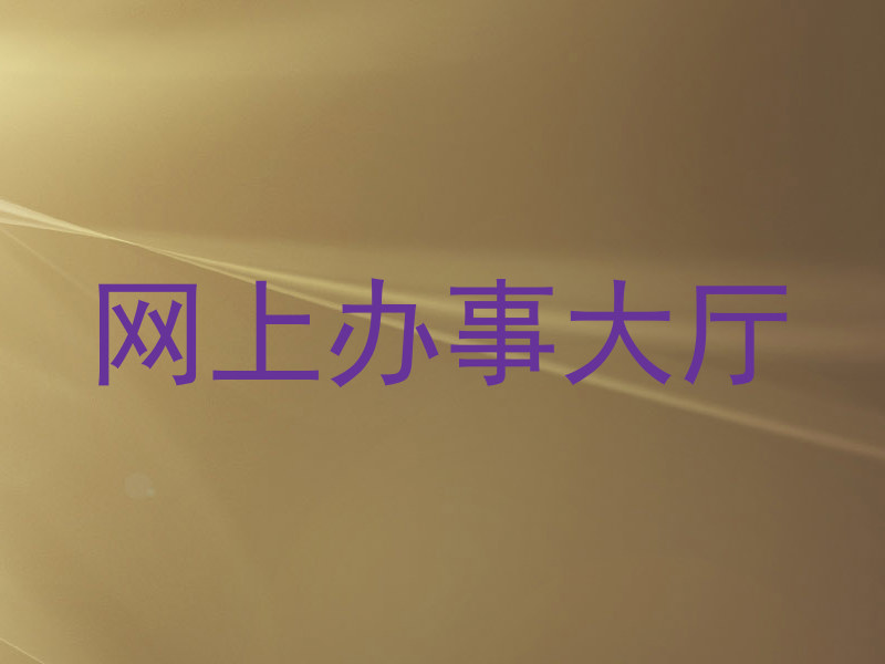 网上办事大厅