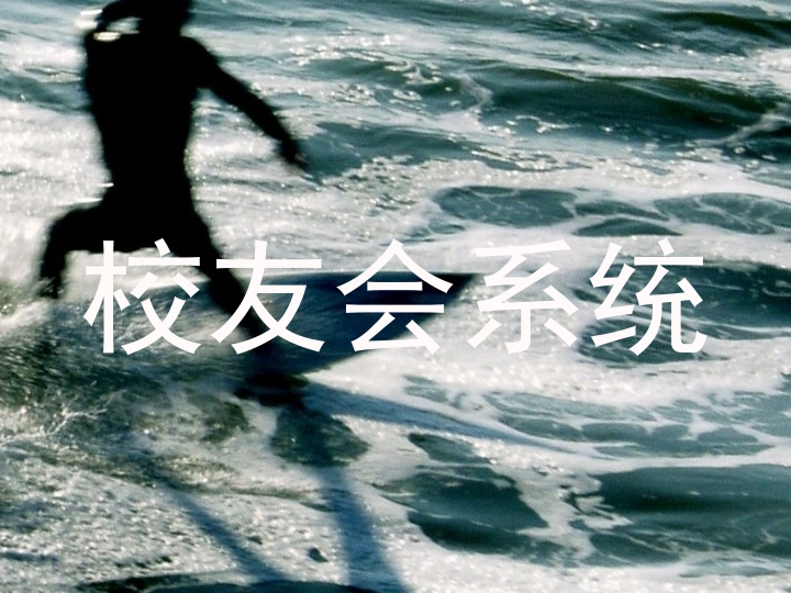 校友会系统