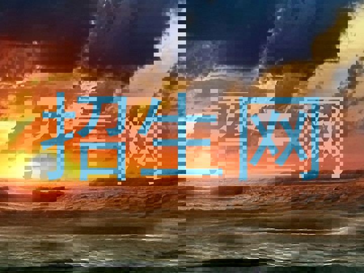 招生网