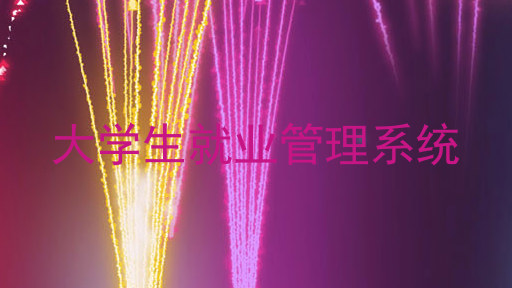 大学生就业管理系统