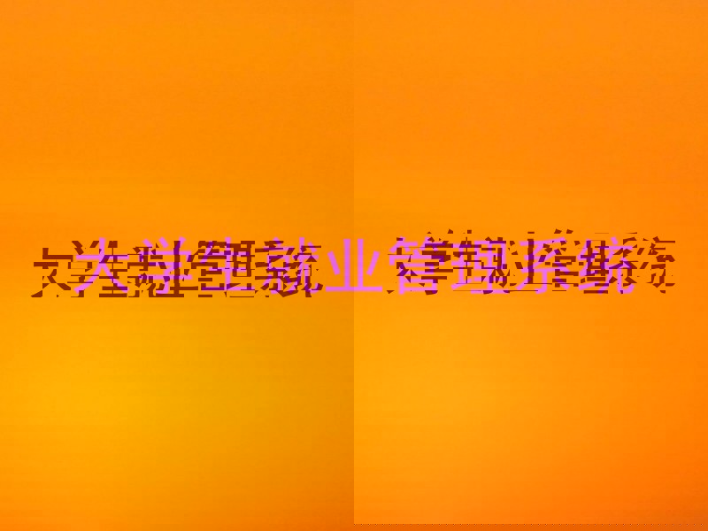 大学生就业管理系统