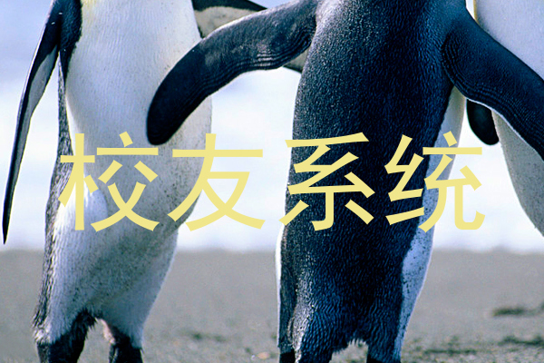 校友系统