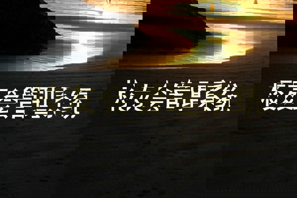 校友会管理系统