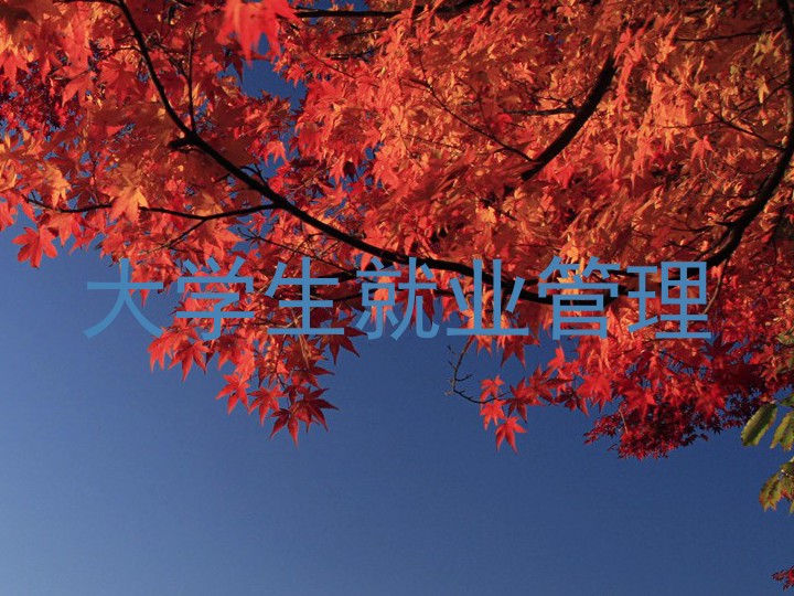 大学生就业管理