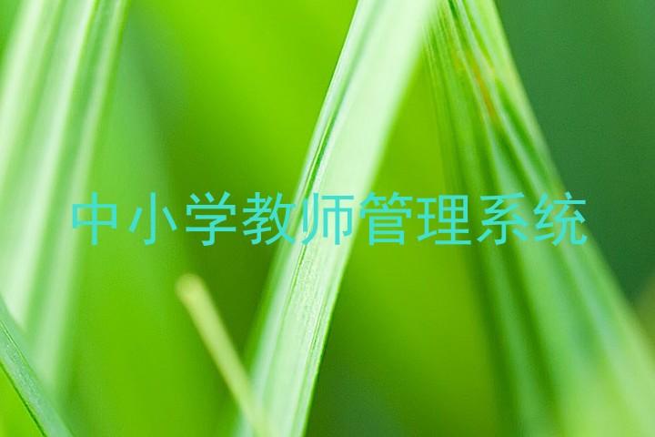 中小学教师管理系统