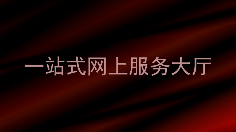 一站式网上服务大厅